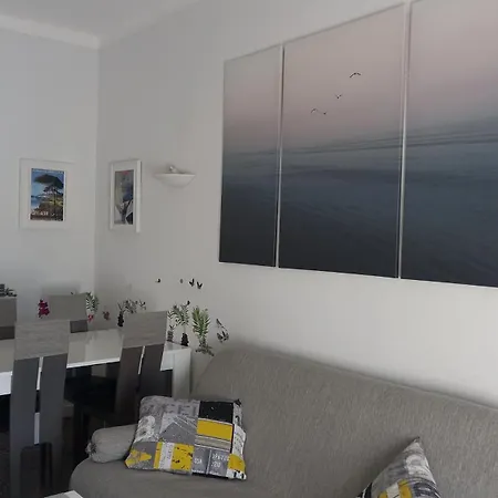 Spacious And Sunny *